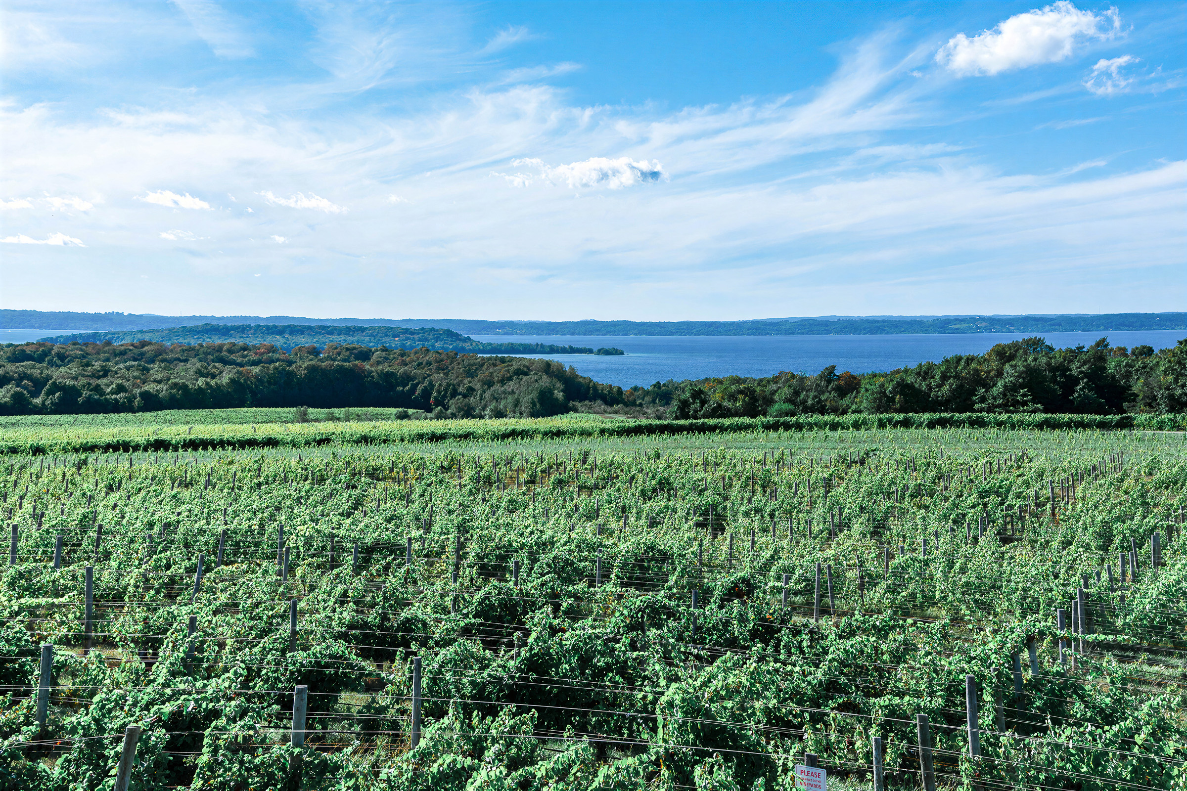 Old Mission Peninsula landscape in August